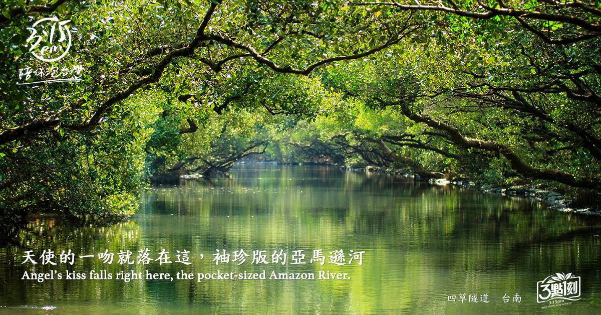 四草綠色隧道｜台南安南區